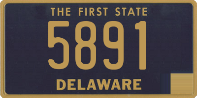 DE license plate 5891