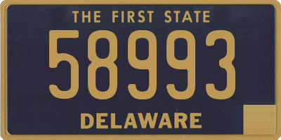 DE license plate 58993
