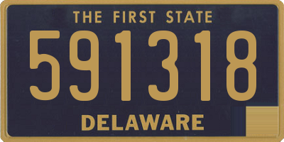 DE license plate 591318