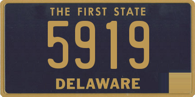 DE license plate 5919