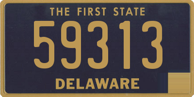 DE license plate 59313