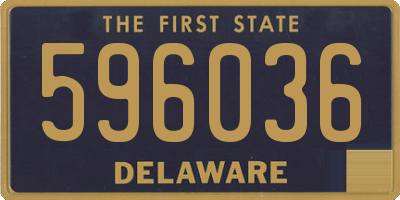 DE license plate 596036