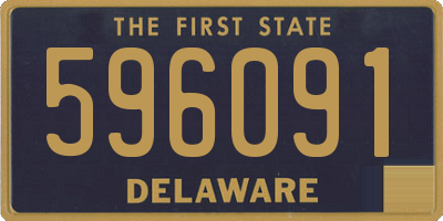 DE license plate 596091