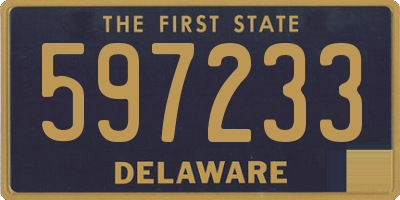 DE license plate 597233