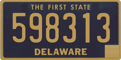 DE license plate 598313