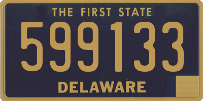 DE license plate 599133