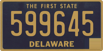 DE license plate 599645