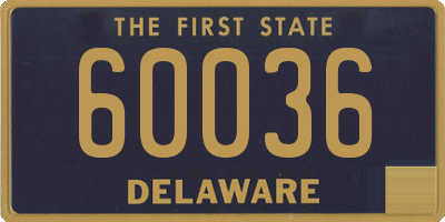 DE license plate 60036