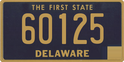 DE license plate 60125