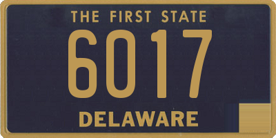 DE license plate 6017