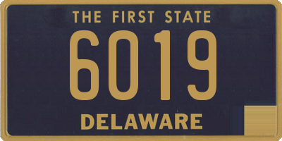 DE license plate 6019