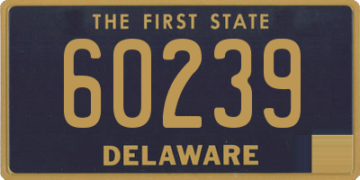 DE license plate 60239