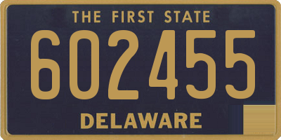 DE license plate 602455
