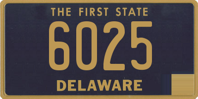 DE license plate 6025