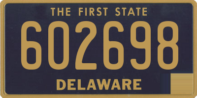 DE license plate 602698