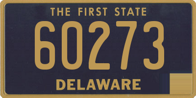 DE license plate 60273