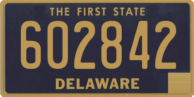 DE license plate 602842