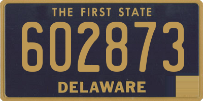 DE license plate 602873