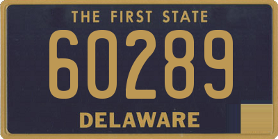 DE license plate 60289