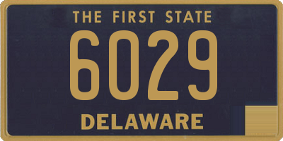 DE license plate 6029