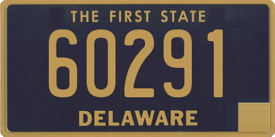 DE license plate 60291