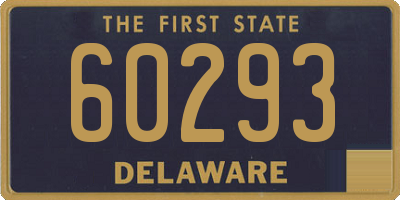 DE license plate 60293