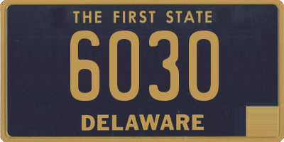 DE license plate 6030