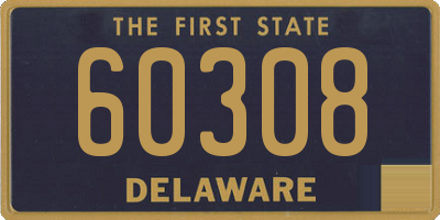 DE license plate 60308