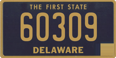 DE license plate 60309