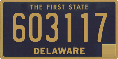 DE license plate 603117
