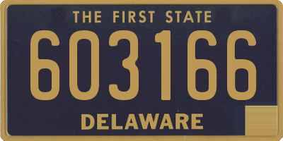 DE license plate 603166