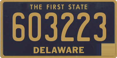 DE license plate 603223