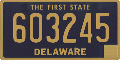 DE license plate 603245