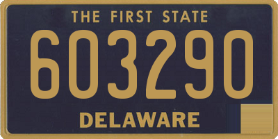 DE license plate 603290
