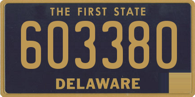 DE license plate 603380