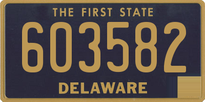 DE license plate 603582