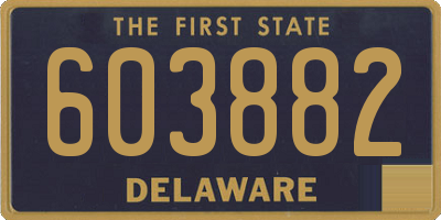 DE license plate 603882