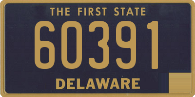 DE license plate 60391