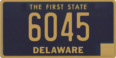 DE license plate 6045