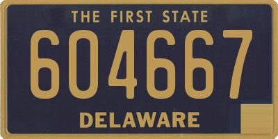 DE license plate 604667