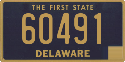DE license plate 60491