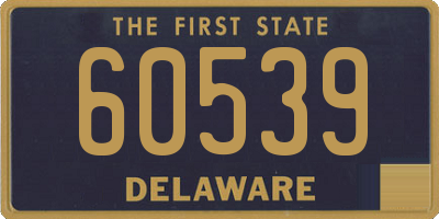 DE license plate 60539