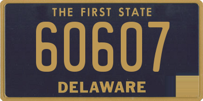 DE license plate 60607