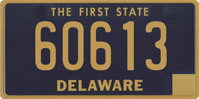 DE license plate 60613