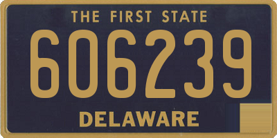 DE license plate 606239