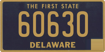 DE license plate 60630