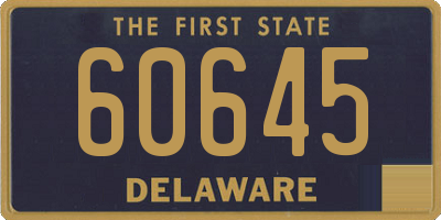 DE license plate 60645