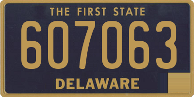 DE license plate 607063