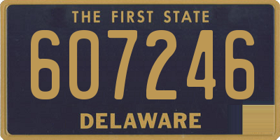 DE license plate 607246