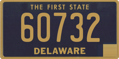 DE license plate 60732